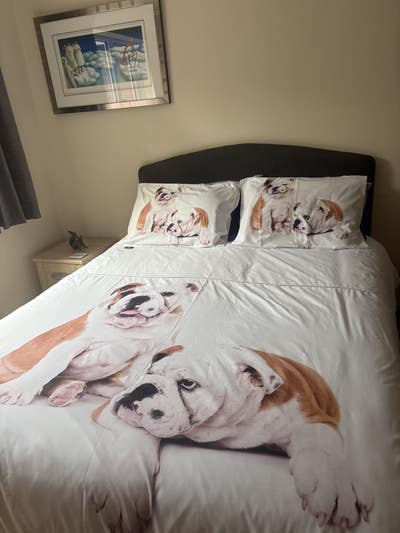 Room available to rent High Ercall Main Photo