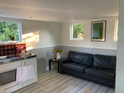 Garden studio flat available  Main Photo