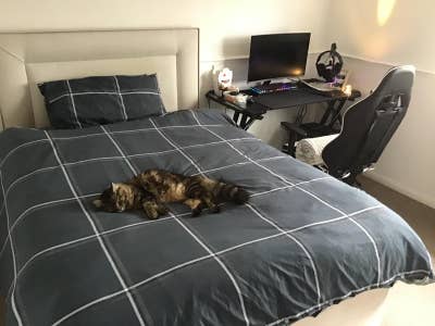 Double room to rent  Main Photo