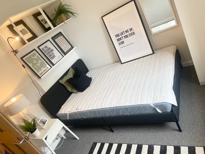 Fab room in fab Gorgie flat Main Photo
