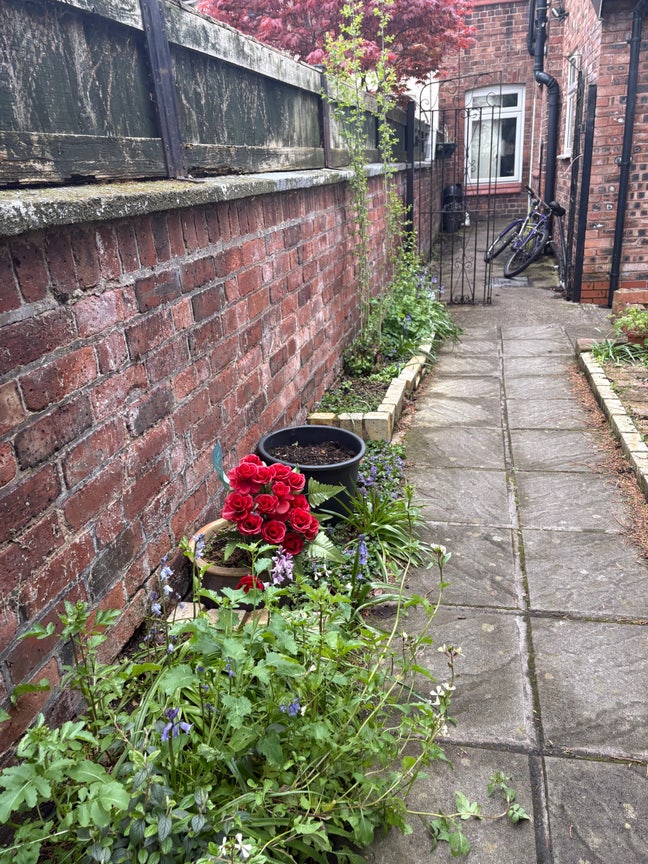 Single room for rent in friendly house Main Photo