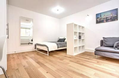 Zone 1 Large Double Room Close to Tower Bridge  Main Photo