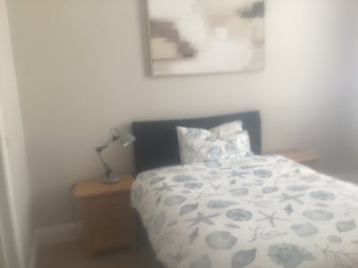 Poundbury /Dorchester Room to let with  en-suite  Main Photo