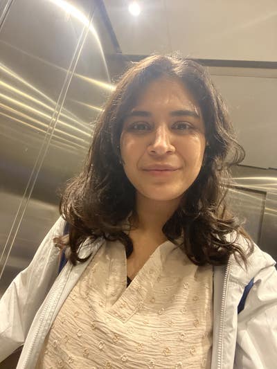 Professional female seeks a room  Main Photo