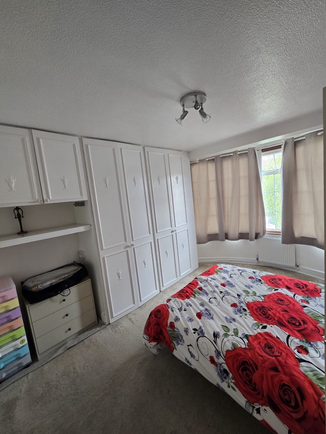 Spacious king size room for rent Main Photo