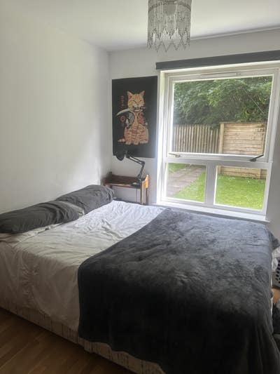 Looking for a flatmate  Main Photo