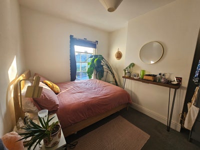 Large room in friendly and tidy home Main Photo