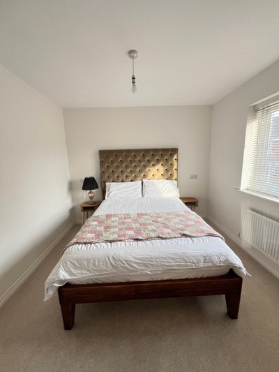 Furnished Double room in Hamilton  Main Photo