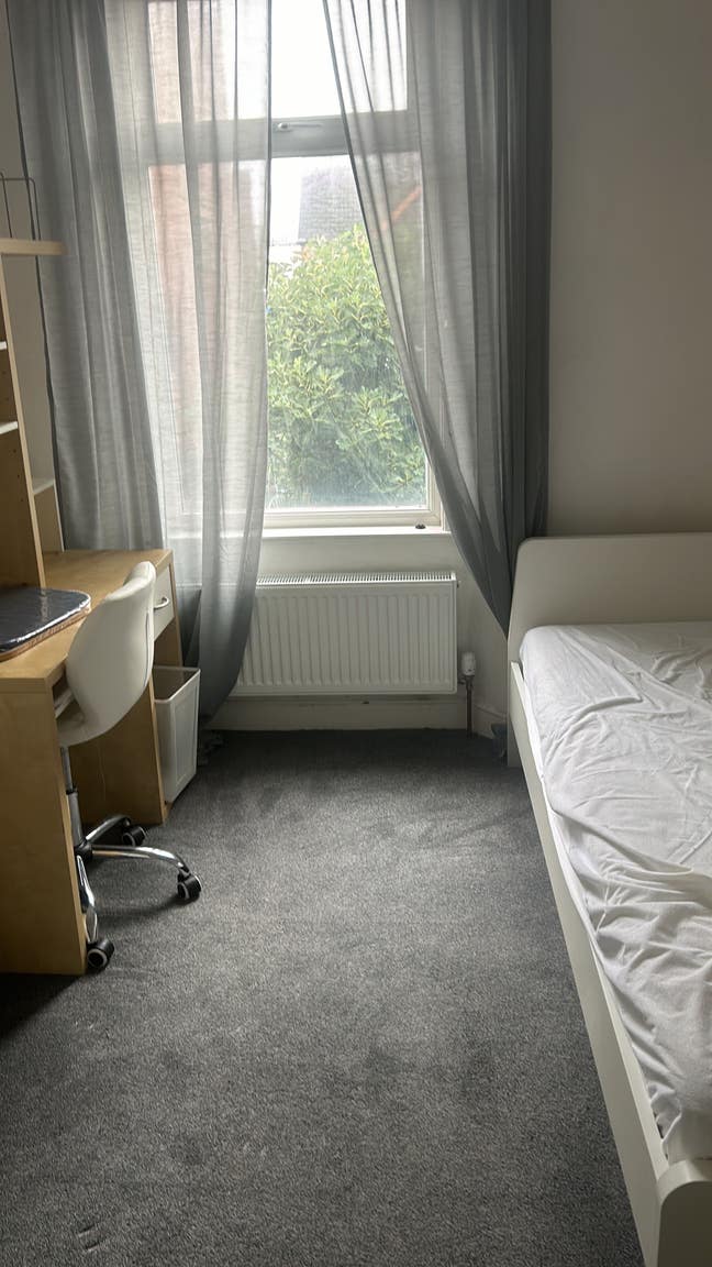 Room Available Main Photo