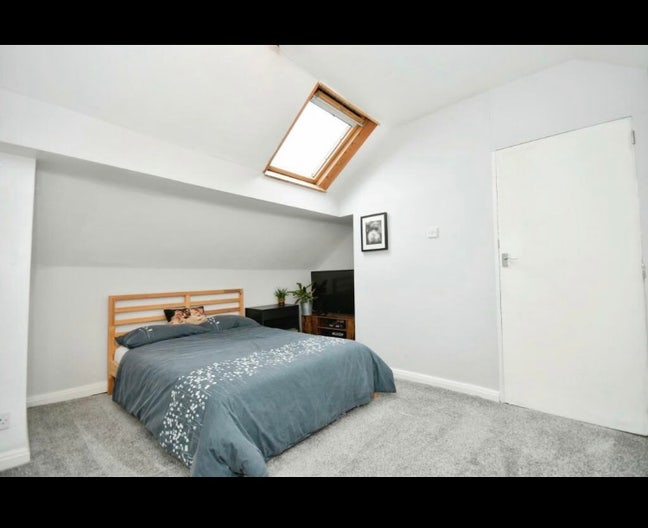 Attic room to rent in house with dog, cat, and me  Main Photo