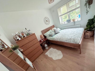 Lovely house share for single professional Main Photo