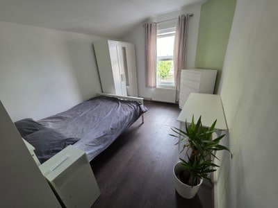 Bright & Renovated Croydon Room - Bills Included! Main Photo
