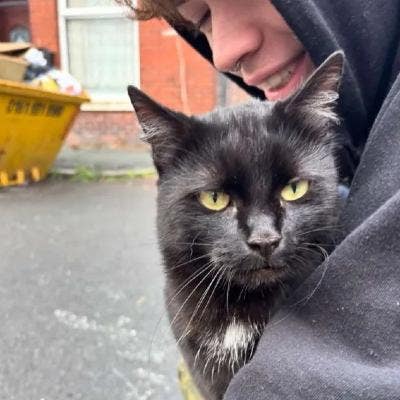 Looking for flat/house shares!! Main Photo
