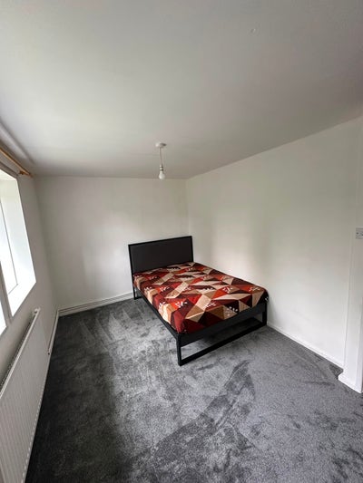 Double room available for a professional female in Main Photo