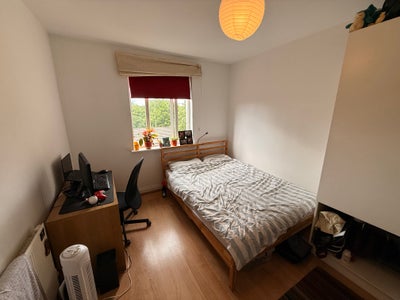 Bright King Size in Stepney Green  Main Photo