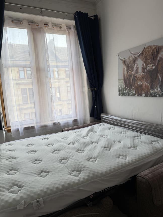 A cosy west end room Main Photo
