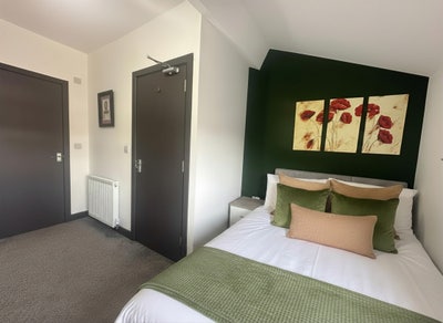 🏛️ Beautiful Room in Renovated Edwardian Home🏛️ Main Photo