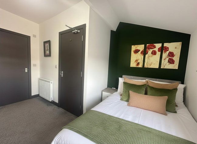 🏛️ Beautiful Room in Renovated Edwardian Home🏛️ Main Photo
