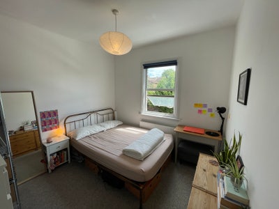 Looking for a friendly new housemate! Main Photo