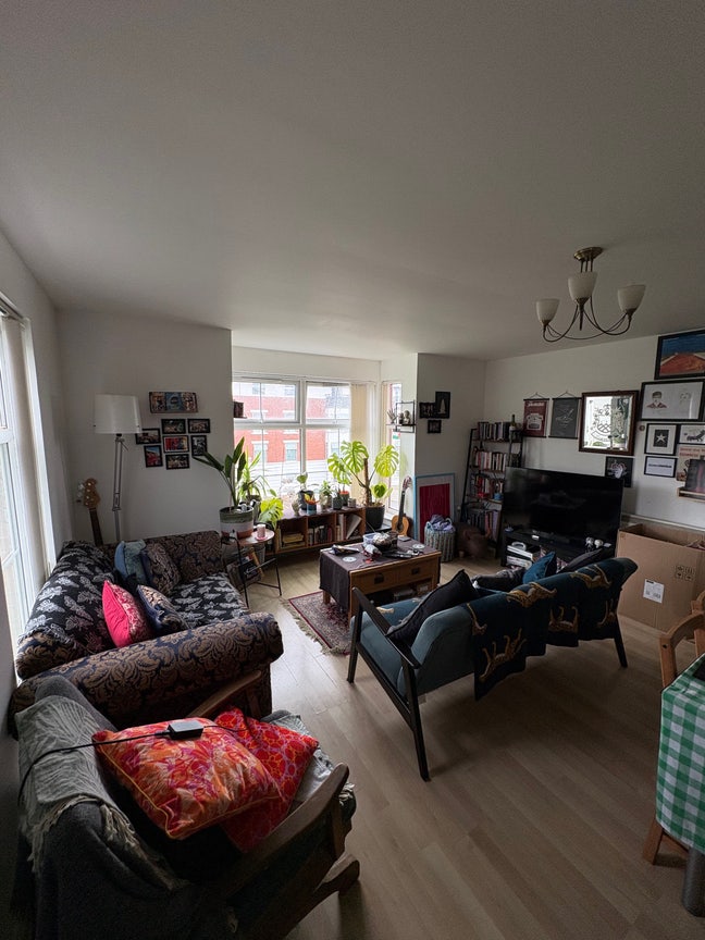 Flatmate wanted near city centre :) Main Photo