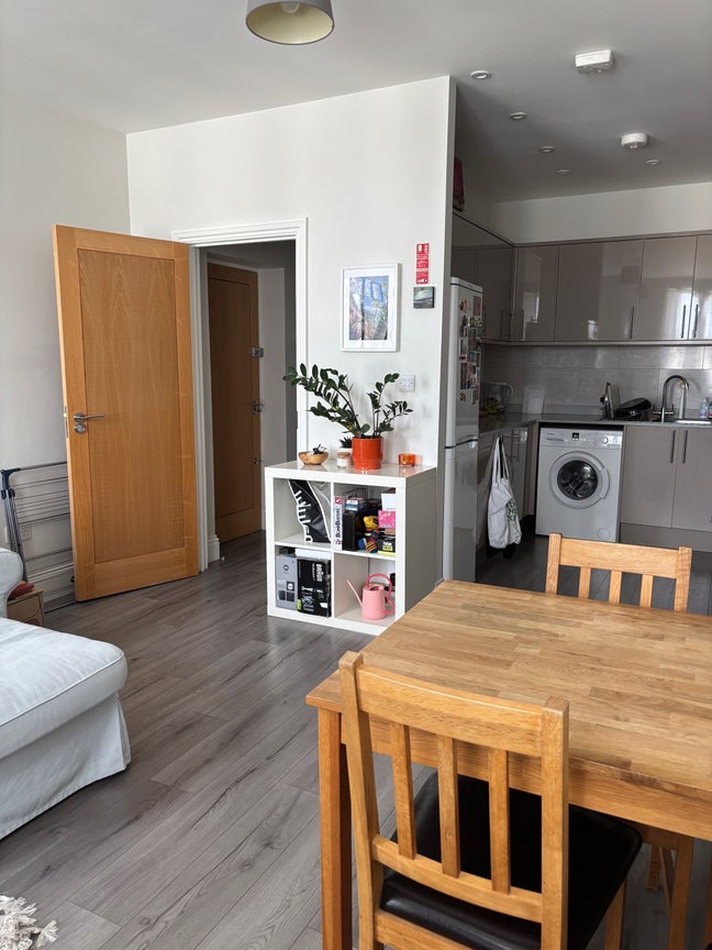 Looking for a flatmate/friend Main Photo