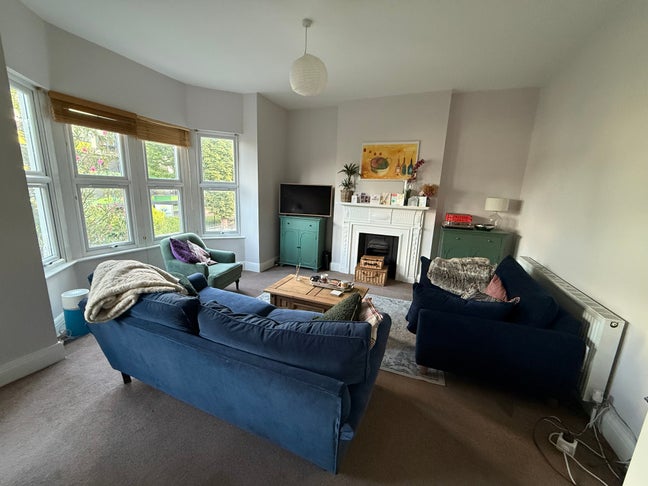 Large room in lovely Streatham Hill flat Main Photo