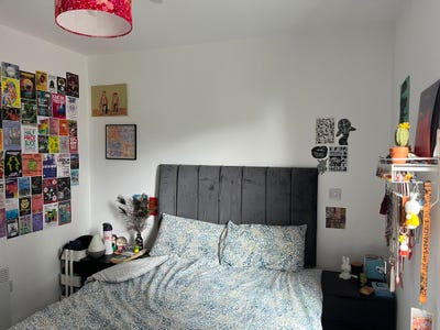 Looking for fun and relaxed new housemate!  Main Photo