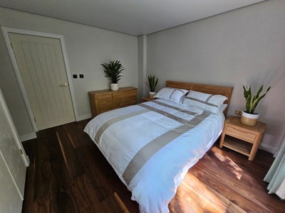 Luxury Room with Forest Views and Fast City Access Main Photo