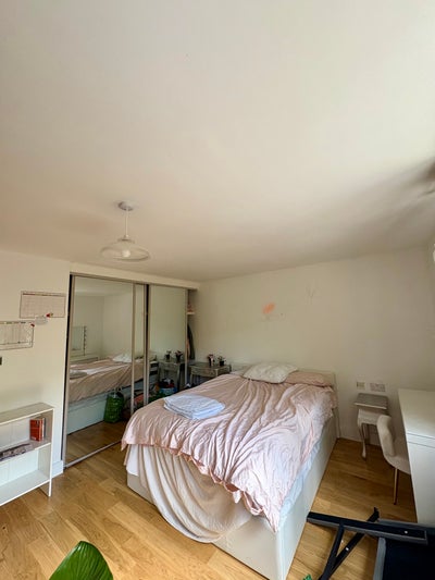 Quiet, enormous room for single female student  Main Photo