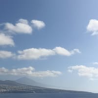26 year old Female seeks a single or double room Main Photo