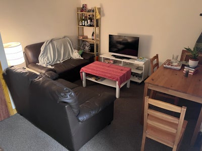 Two rooms available in Oxford Main Photo