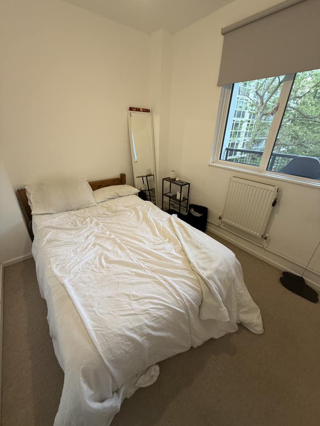 Double Room in 3 bed apt inc all bills Main Photo