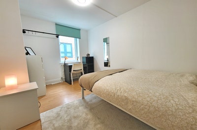 Stylish and renovated flat in the heart of London Main Photo
