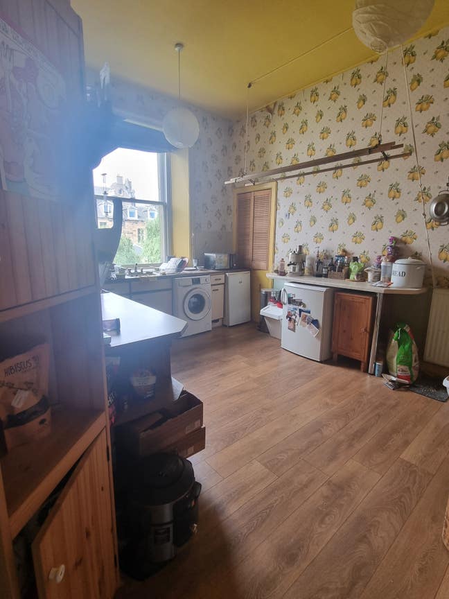 Home next to the Meadows and Fringe in August Main Photo