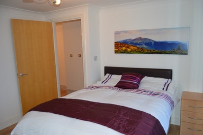 Large Double Room in Apartment, B'ham City Centre Main Photo