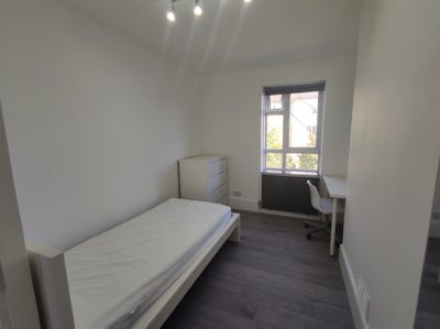 Bright Room in flat N17 close to amenities  Main Photo