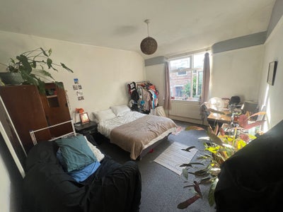 2 month sublet September-October in friendly house Main Photo