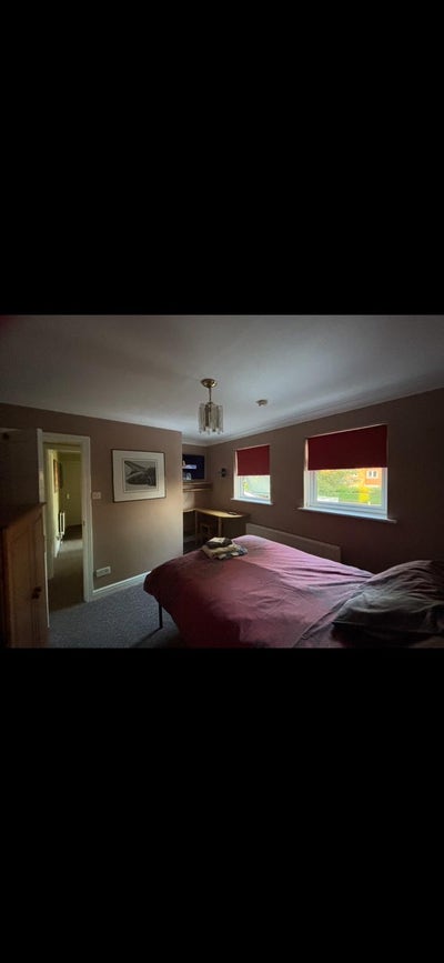 Room to rent  Main Photo