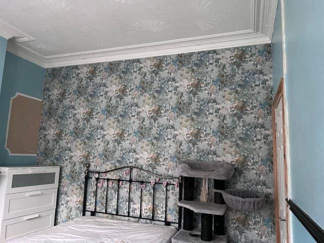 Double Room To Let – Cardiff CF11  Main Photo