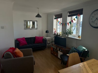 Lovely short-term stay by Rotherhithe Beach!  Main Photo