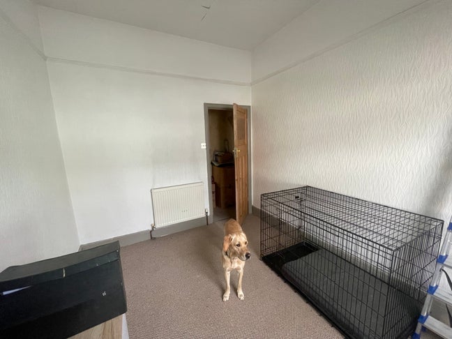 Double Room Millbridge, Stoke, PL1 Main Photo