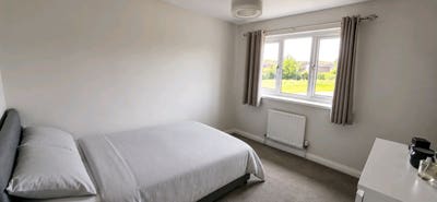 Room in quiet household  Main Photo