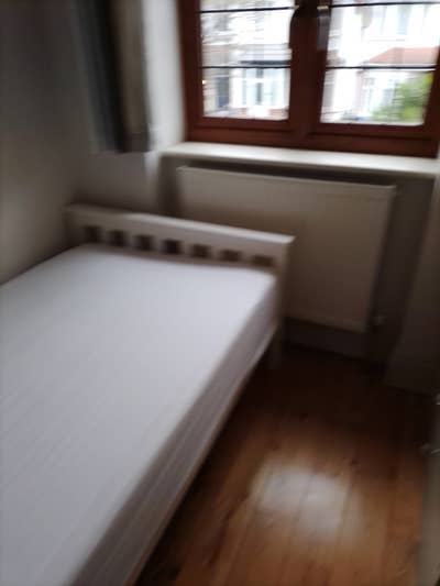 Single room for rent Main Photo
