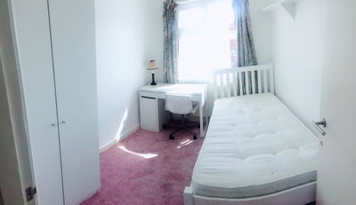 1 cozy rooms near Exeter Uni in 4 bed house Main Photo
