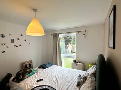Spacious Double Room in Chiswick (females only) Main Photo