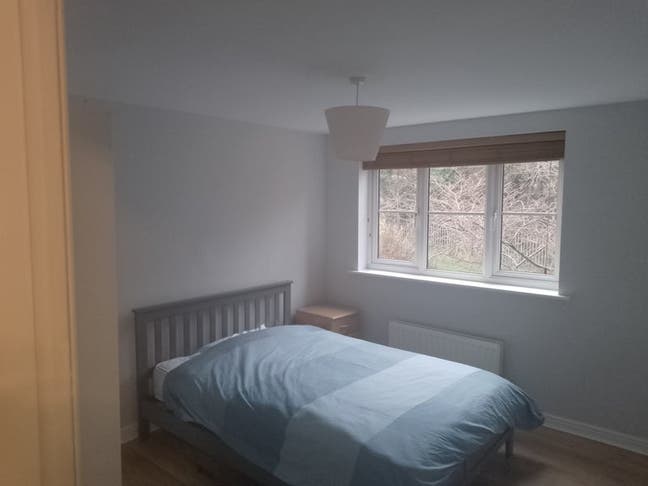Calm Professional Double Room near JR Hospital Main Photo