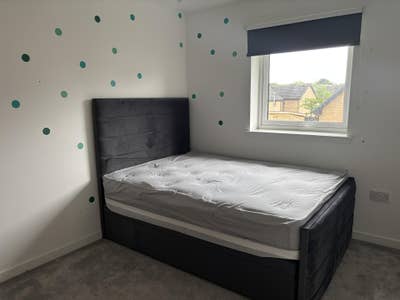 Spacious Double Room Available- Females Preferred Main Photo