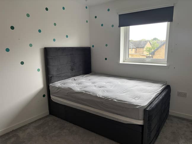 Spacious Double Room Available- Females Preferred Main Photo