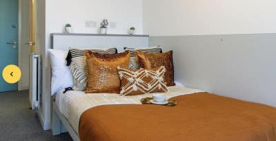 Premium Canalview Ensutie room for rent Main Photo