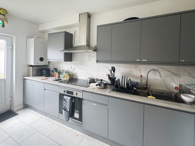 6 Bed House, All Bills Included Available August  Main Photo
